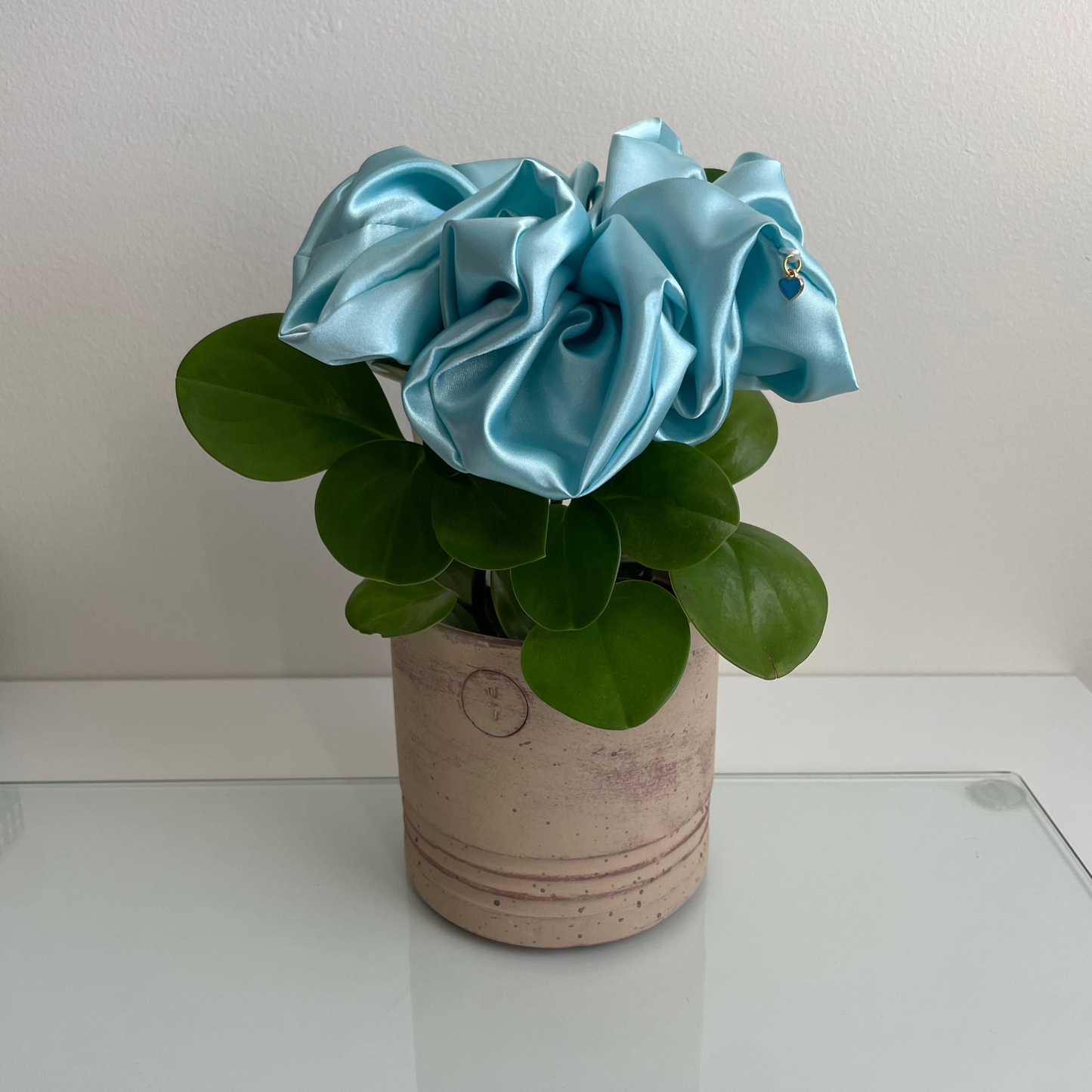 Light Blue (with a charm)