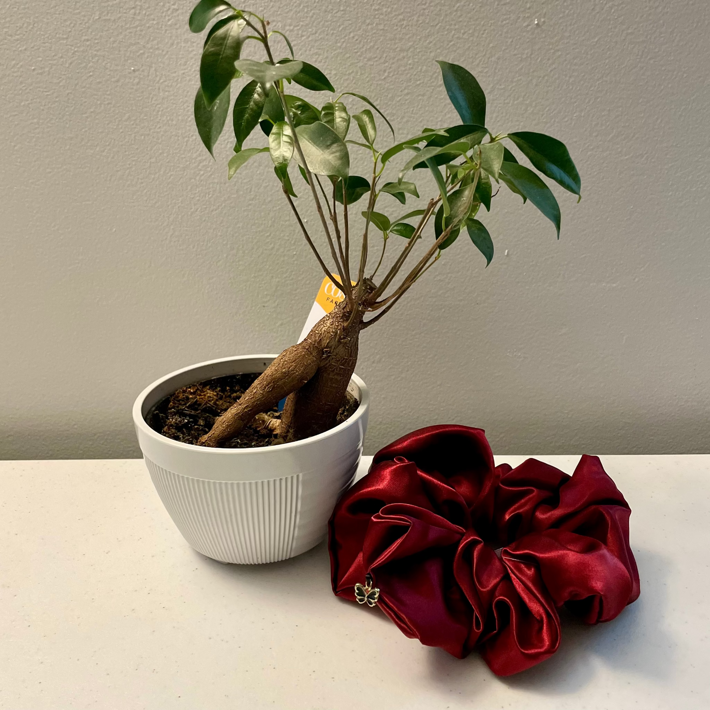 Burgundy (with a charm)