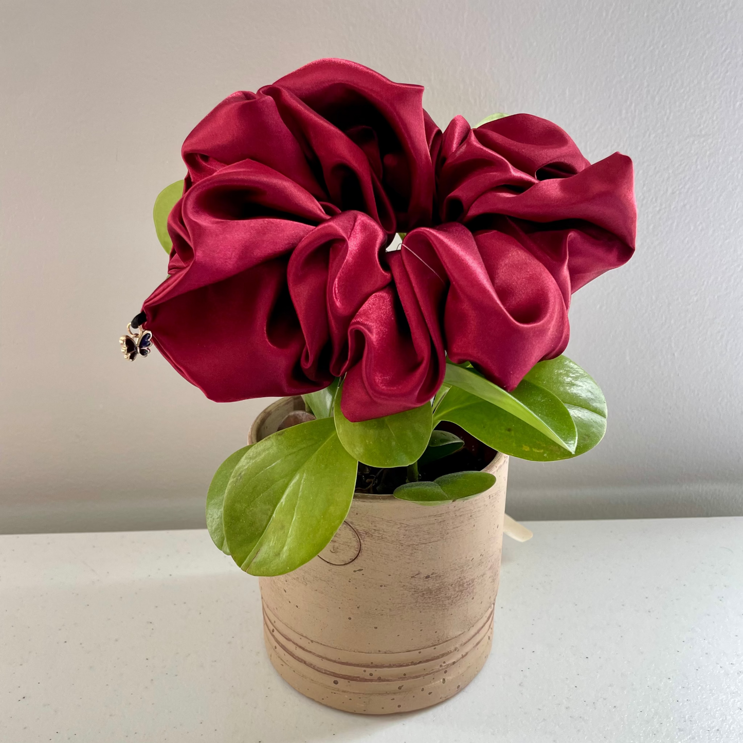 Burgundy (with a charm)